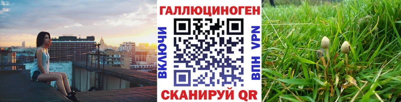 blacksprut ссылка Свирск Галлюциногенные грибы мухоморы где продают наркотики